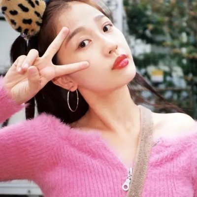 燕子盗